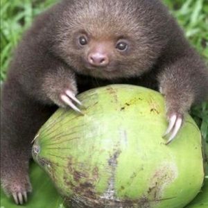 Meet your Posher, Lluvia